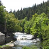 Lanarkshire river in a forest